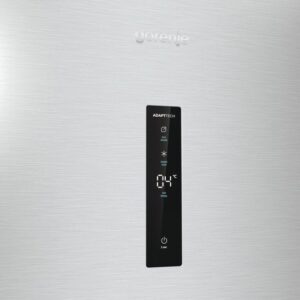 Gorenje R619DAXL6 koelkast Vrijstaand 398 l D Grijs, Metallic